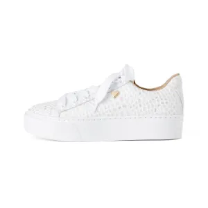 Carmina Sneakers - White / Silver [ NO RETURN NO EXCHANGE ]