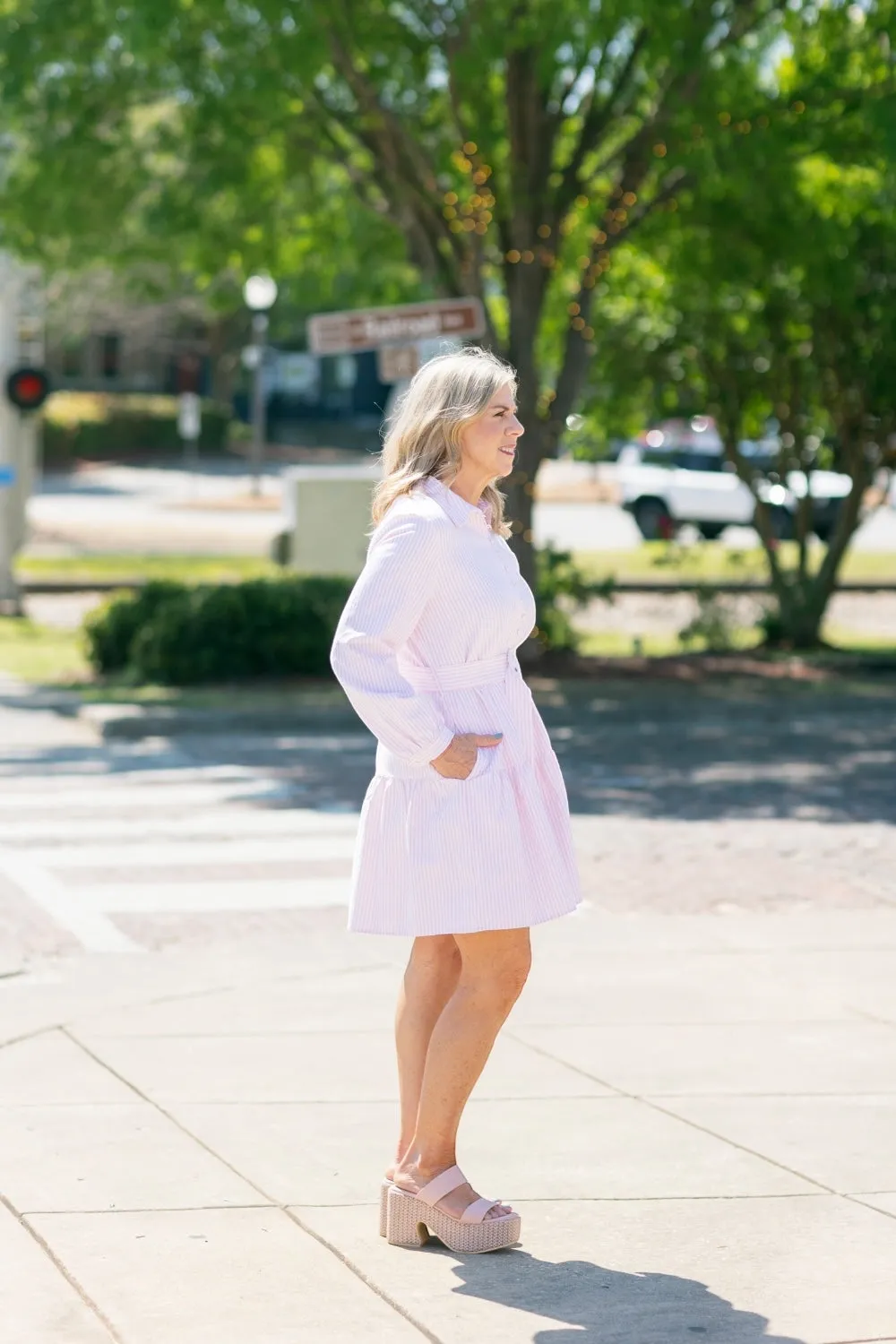 Dana Pink Pinstripe Belted Dress