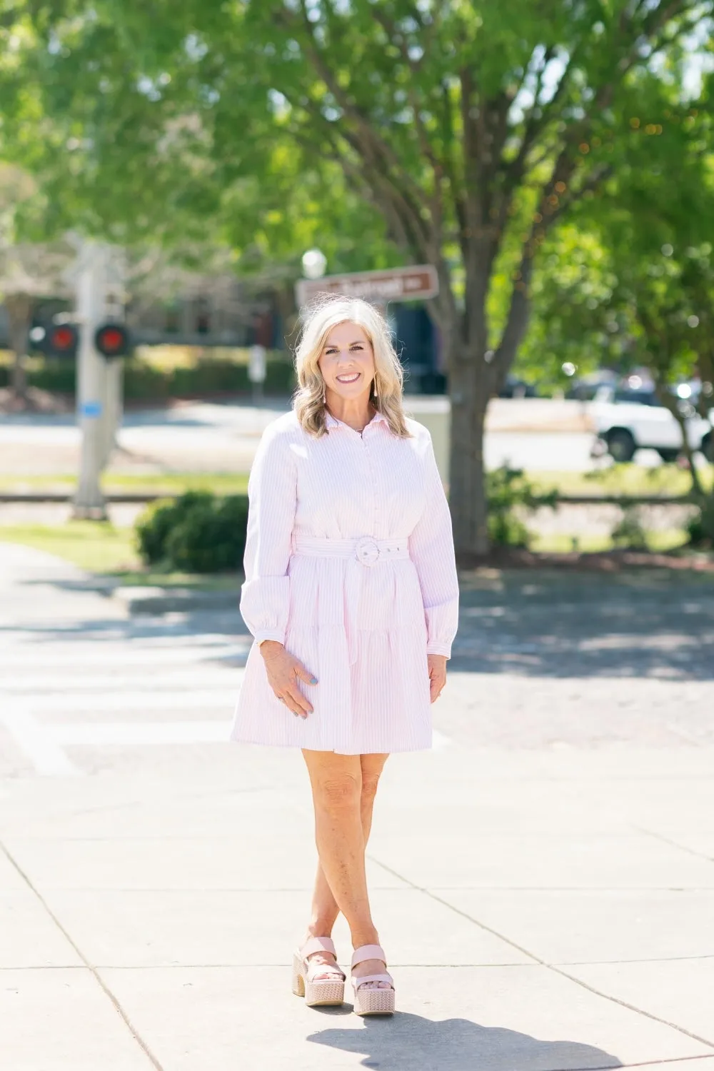 Dana Pink Pinstripe Belted Dress
