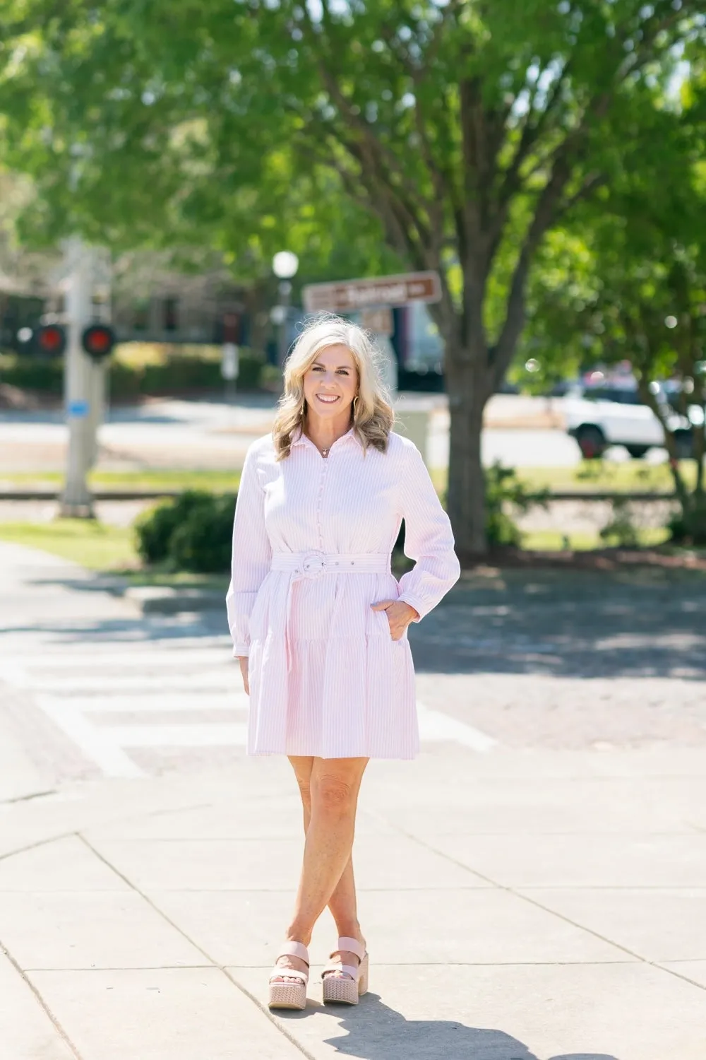 Dana Pink Pinstripe Belted Dress
