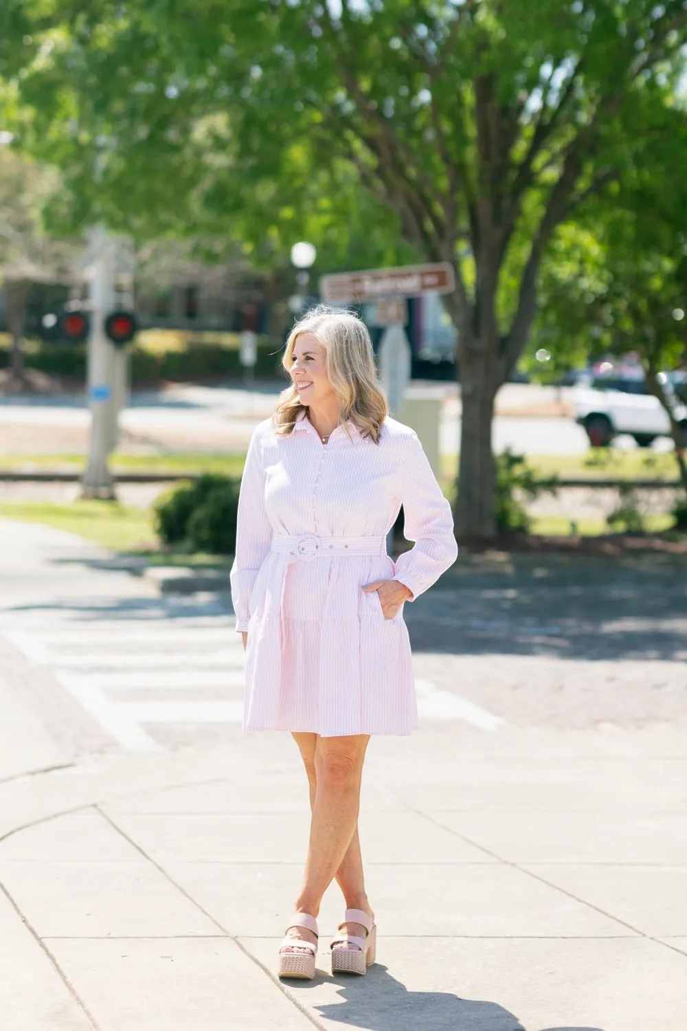 Dana Pink Pinstripe Belted Dress