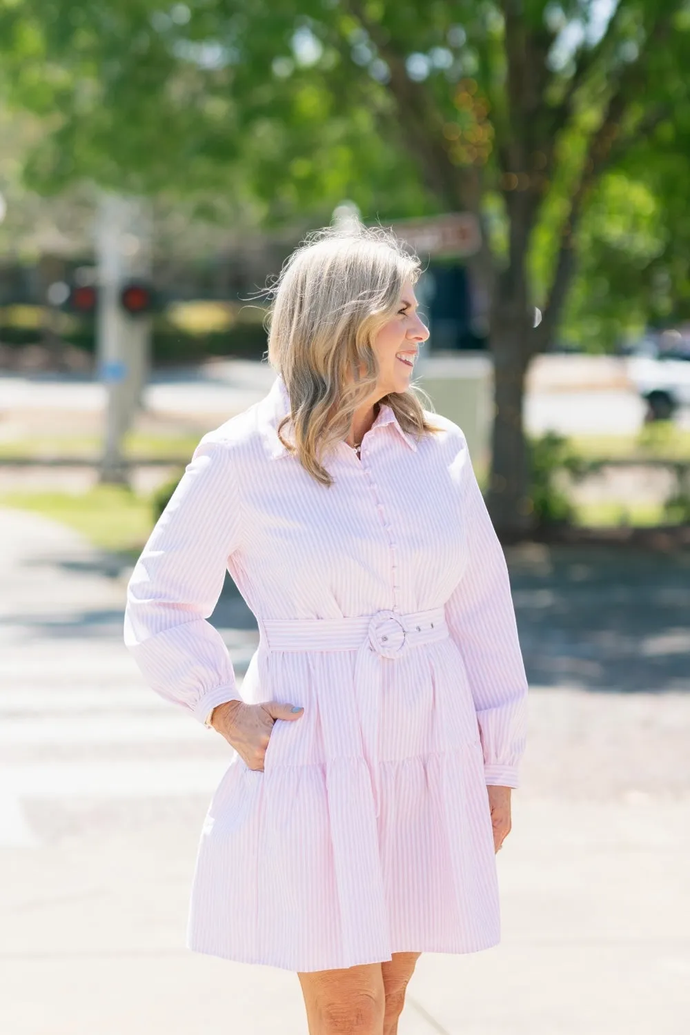 Dana Pink Pinstripe Belted Dress