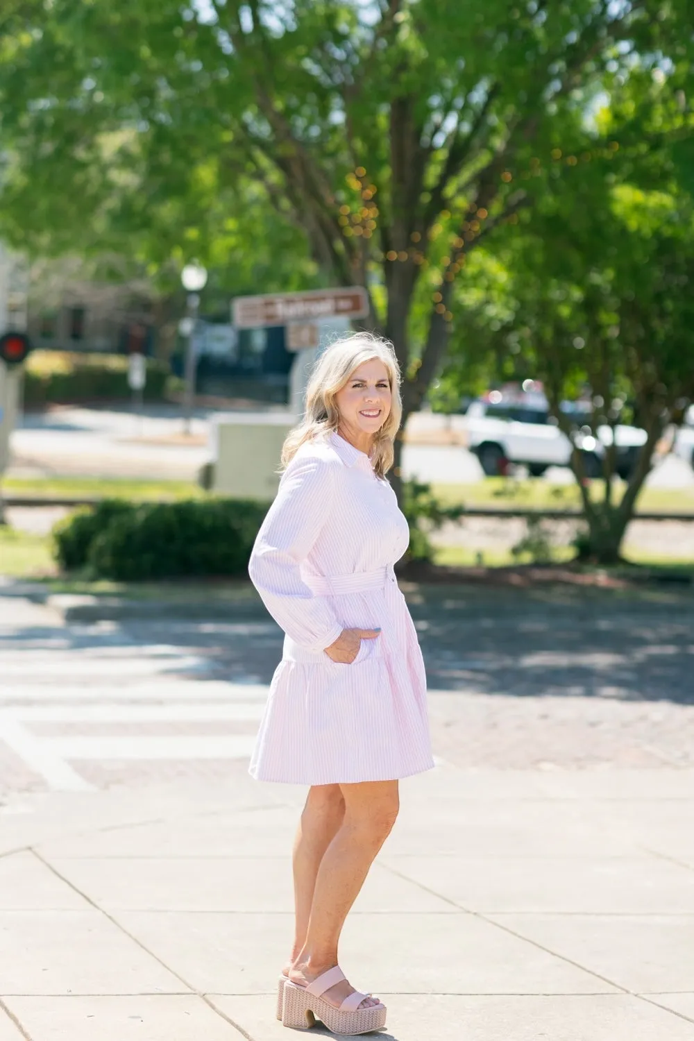 Dana Pink Pinstripe Belted Dress
