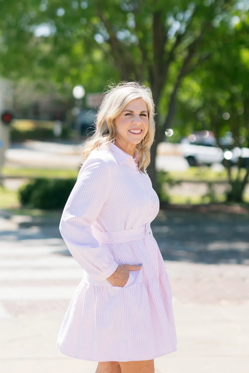 Dana Pink Pinstripe Belted Dress