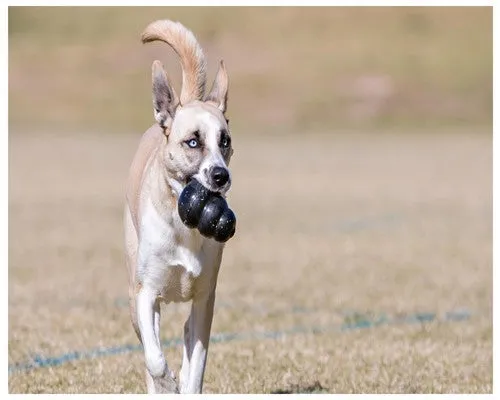 Kong Extreme Dog Toy Black Extra Large