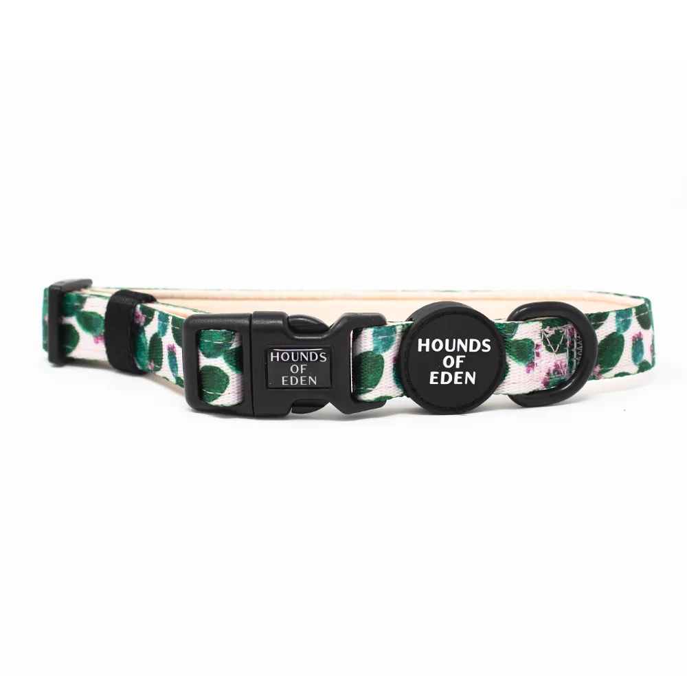 Looking Sharp - Green Cactus and Pink Dog Harness