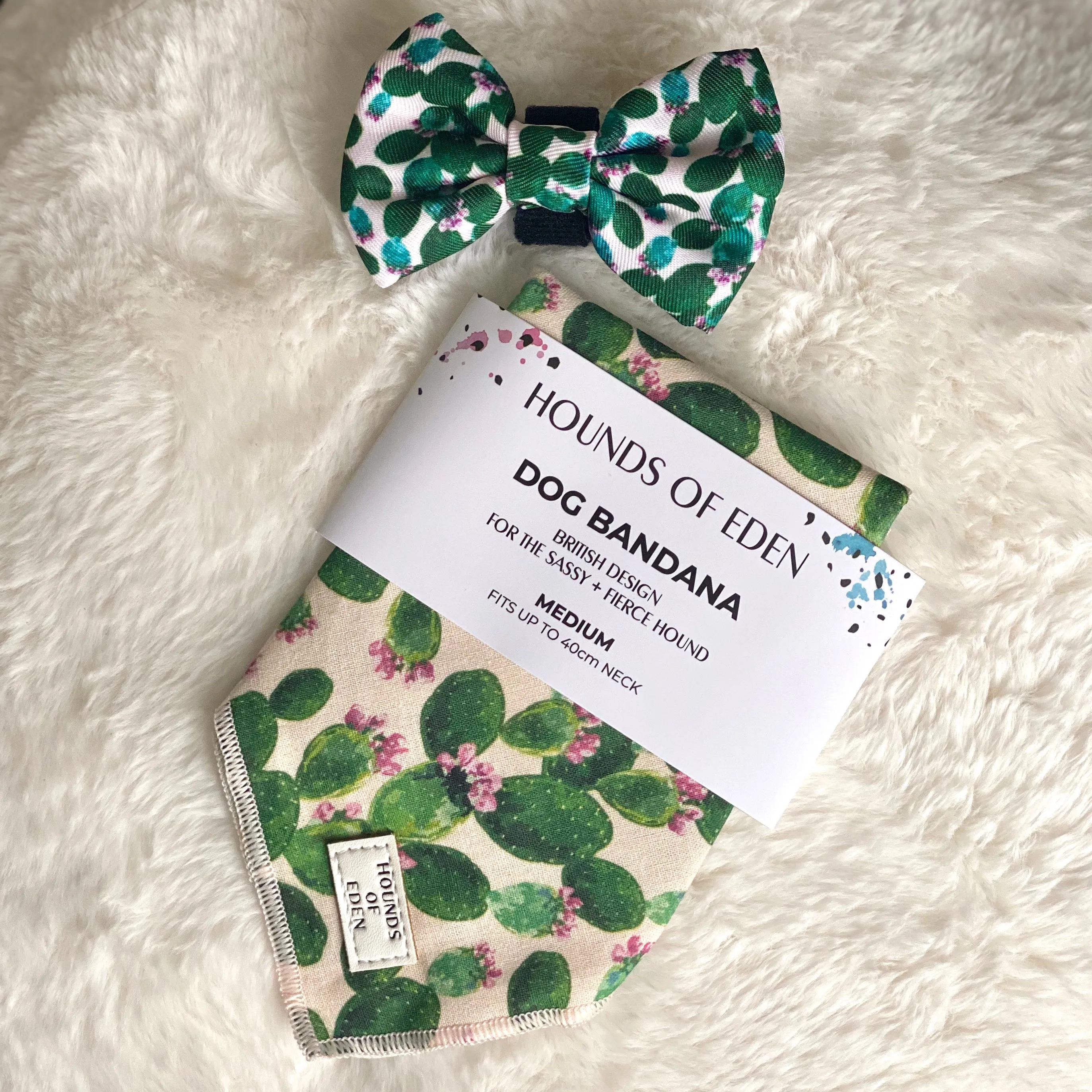 Looking Sharp - Green Cactus and Pink Dog Harness