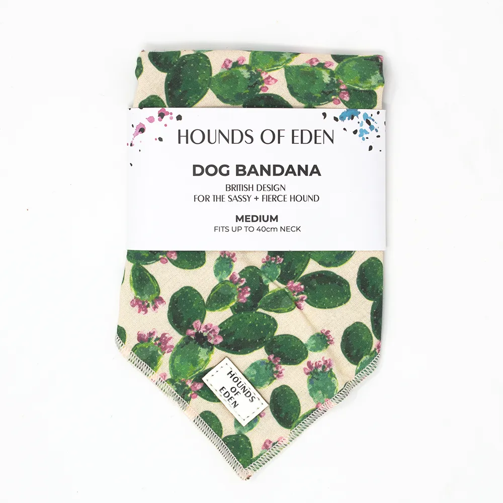 Looking Sharp - Green Cactus and Pink Dog Harness