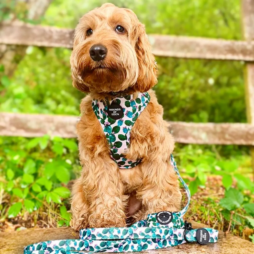 Looking Sharp - Green Cactus and Pink Dog Harness