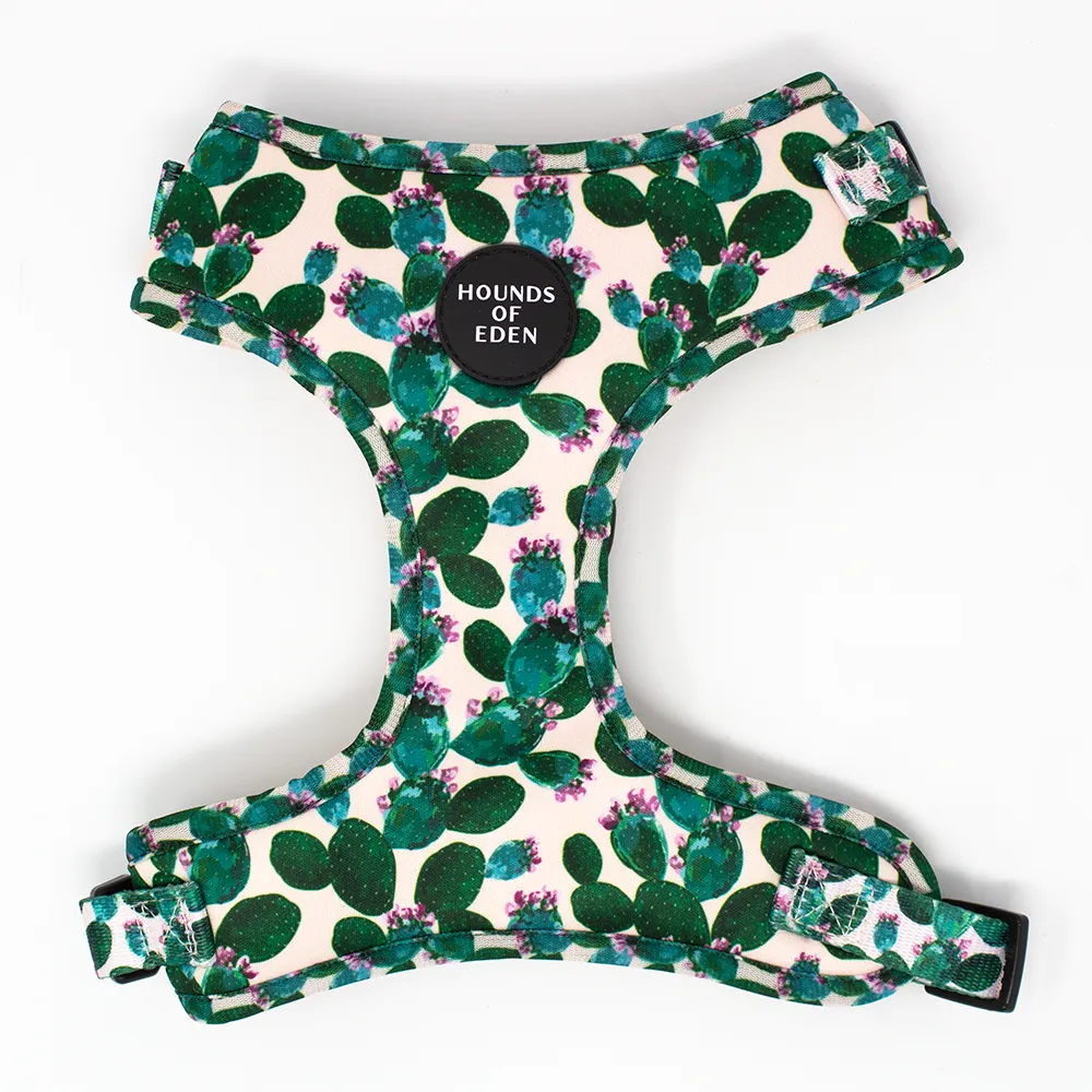 Looking Sharp - Green Cactus and Pink Dog Harness