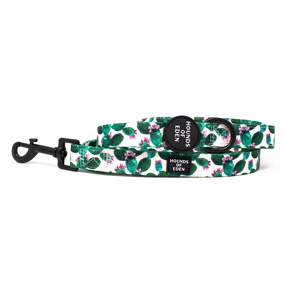 Looking Sharp - Green Cactus and Pink Dog Harness