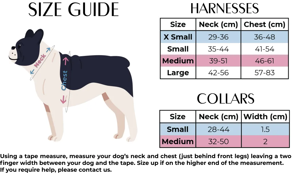Looking Sharp - Green Cactus and Pink Dog Harness