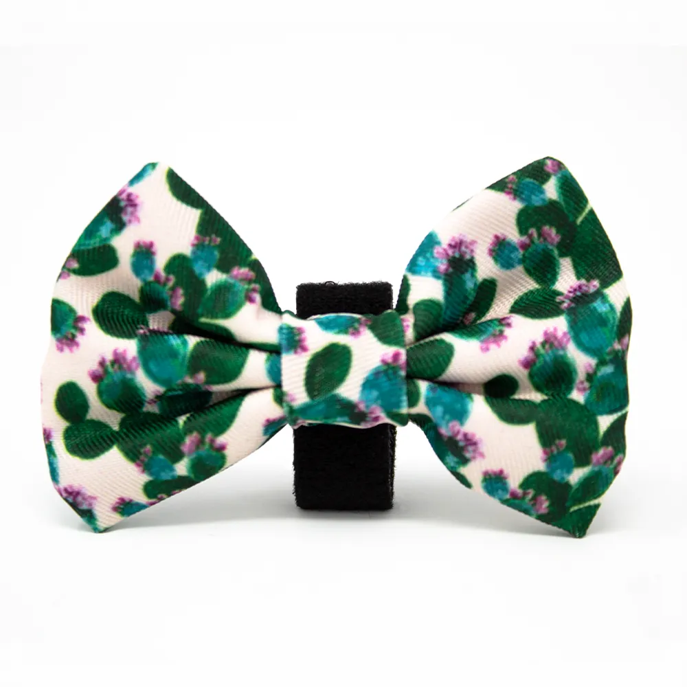 Looking Sharp - Green Cactus and Pink Dog Harness
