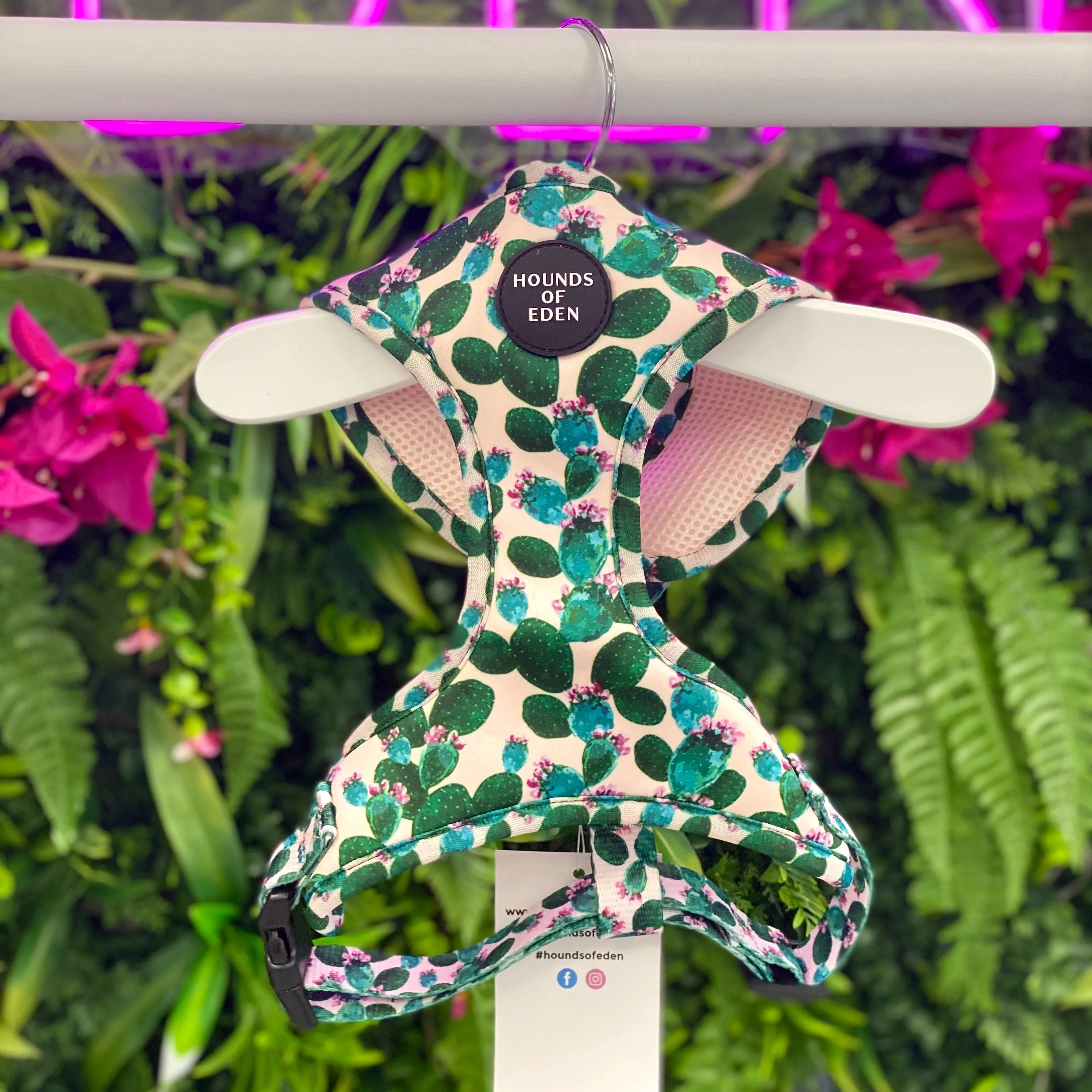 Looking Sharp - Green Cactus and Pink Dog Harness