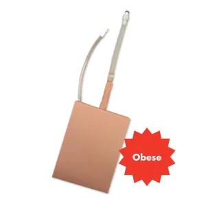 Obese Adult Lumbar Puncture Tissue
